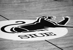 85-235; Cougar Logo on Basketball Court