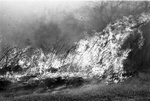 85-283; Prairie Grass Restoration Fire by Southern Illinois University Edwardsville